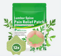 12 Back Pain Patches