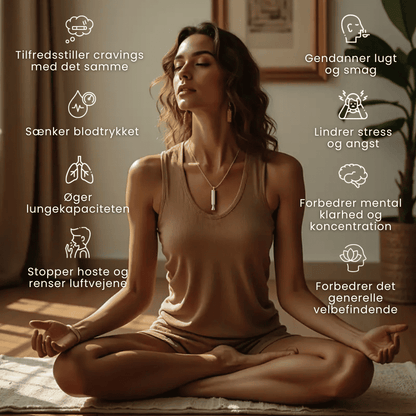 Houral™ Rygestop-apparat